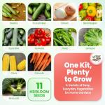 Heirloom Vegetable and Fruit Seeds Variety Pack