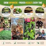 25 Non-GMO Winter Vegetable Seed Variety Pack