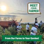 Heirloom Organic Non-GMO Seed Assortment, 30ct