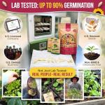 Vegetable Seeds Variety Pack - 55 Non-GMO Seeds
