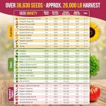 Vegetable Seeds Variety Pack - 55 Non-GMO Seeds