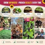 Vegetable Seeds Variety Pack - 55 Non-GMO Seeds