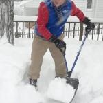 Snow Joe Spring-Assisted Strain-Reducing Snow Shovel