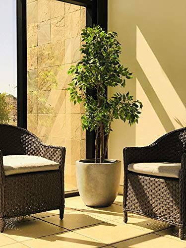 18 Inch Round Concrete Planter for Indoor/Outdoor Use