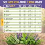 Deluxe Herb Seed Variety Pack for Indoor & Outdoor Gardening