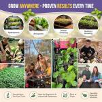 Deluxe Herb Seed Variety Pack for Indoor & Outdoor Gardening