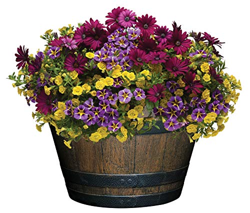 Walnut Brown Plastic Resin Flower Pot Barrel Planter