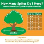 Miracle-Gro Fruit & Citrus Plant Food Spikes