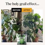 4X Concentrated Indoor Plant Food with Sea Kelp