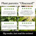 4X Concentrated Indoor Plant Food with Sea Kelp