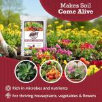 Brut Organic Worm Castings 5 LB Natural Fertilizer