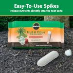 Miracle-Gro Fruit & Citrus Plant Food Spikes