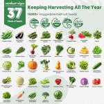 37 Varieties Non-GMO Heirloom Vegetable Seeds Kit