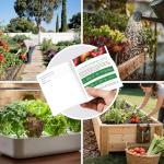 37 Varieties Non-GMO Heirloom Vegetable Seeds Kit