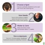 Forget Me Not Flower Seeds - 5000 Count