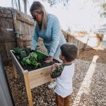 Wooden Raised Garden Bed with Liner - 48"x24"x30