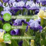 Mixed Rare Iris Flower Seeds for Your Garden