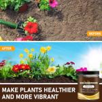 Organic Soil Activator Duo for Vibrant Plants