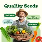 55 Pack Vegetable Seeds – Non-GMO Heirloom Garden Kit