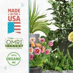 Organic Perlite for Healthy Indoor and Outdoor Plants