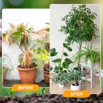 Organic Soil Activator Duo for Vibrant Plants