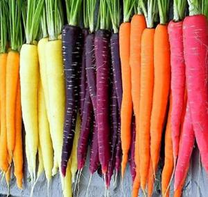 Rainbow Carrot Seeds - Grow Colorful Carrots at Home