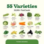 55 Pack Vegetable Seeds – Non-GMO Heirloom Garden Kit