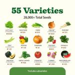 55 Pack Vegetable Seeds – Non-GMO Heirloom Garden Kit