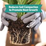 Organic Perlite for Healthy Indoor and Outdoor Plants