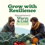 55 Pack Vegetable Seeds – Non-GMO Heirloom Garden Kit