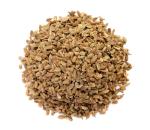 Rainbow Carrot Seeds - Grow Colorful Carrots at Home