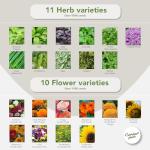 50 Variety Garden Seed Pack - Non-GMO Heirloom