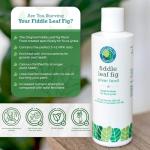 Fiddle Leaf Fig Plant Food - Balanced Liquid Fertilizer