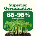 55 Pack Vegetable Seeds – Non-GMO Heirloom Garden Kit
