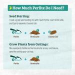 Organic Perlite for Healthy Indoor and Outdoor Plants