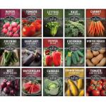 15 Heirloom Vegetable Garden Seed Collection