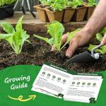 10 Non-GMO Heirloom Vegetable Seeds for Home Garden
