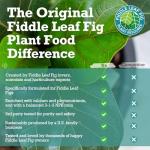 Fiddle Leaf Fig Plant Food - Balanced Liquid Fertilizer