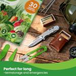 30 Heirloom Seed Variety Pack for Home Gardens