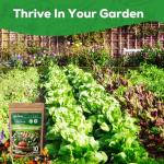 10 Non-GMO Heirloom Vegetable Seeds for Home Garden