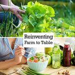 Rainbow Carrot Seeds - Grow Colorful Carrots at Home