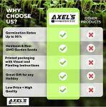 Rainbow Carrot Seeds - Grow Colorful Carrots at Home