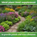 Organic Kelp Meal Fertilizer with Trace Minerals