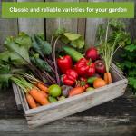 Classic Vegetable Garden Seed Collection - Non-GMO