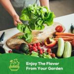 10 Non-GMO Heirloom Vegetable Seeds for Home Garden