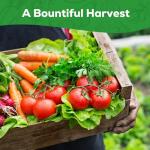 30 Heirloom Vegetable Seeds for Your Garden