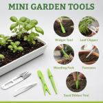 Heirloom Vegetable & Herb Seeds Variety Pack