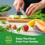 30 Heirloom Vegetable Seeds for Your Garden