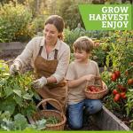 Heirloom Vegetable & Herb Seeds Variety Pack