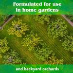 All Natural Organic Fertilizer for Fruit Trees